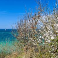 Cycle along the coast of the Baltic Sea | Jurgen Wangermann