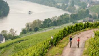 Ride through Germany's scenic wine regions along the Moselle River