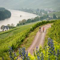 Ride through Germany's scenic wine regions along the Moselle River | Günter Standl