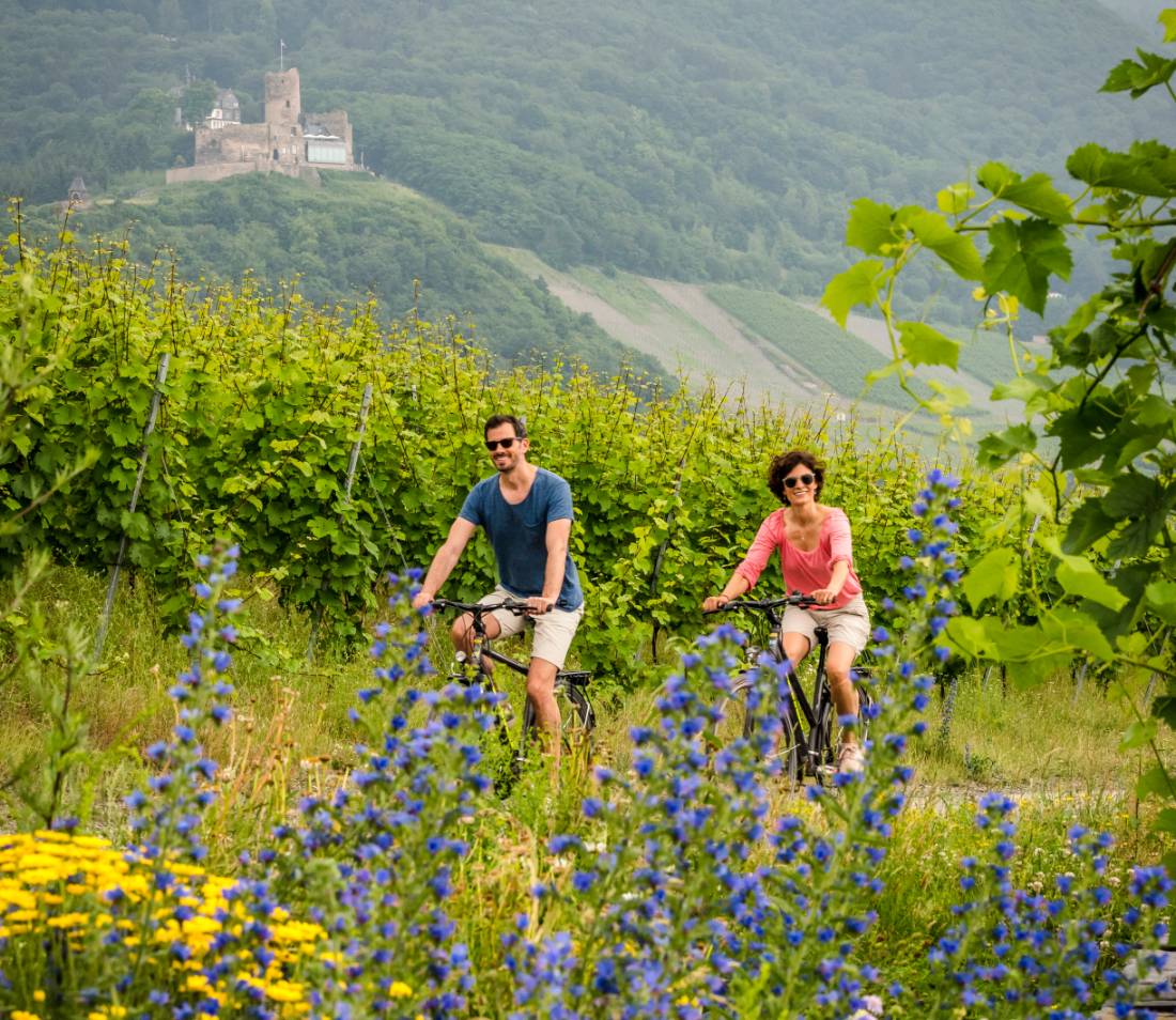 Riding by the vineyards of the Moselle Valley |  Günter Standl