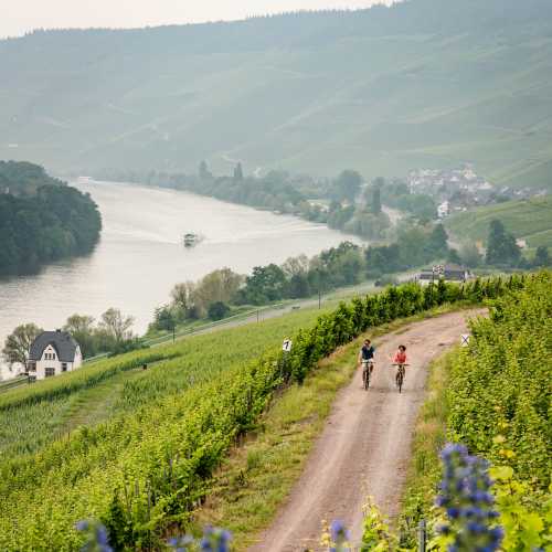 Ride through Germany's scenic wine regions along the Moselle River