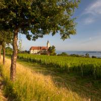 The Birnau Basilica on Lake Constance