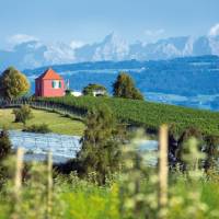 Immenstaad near Lake Constance, with the Swiss Alps in the distance