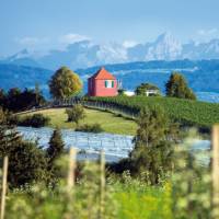 Immenstaad near Lake Constance, with the Swiss Alps in the distance