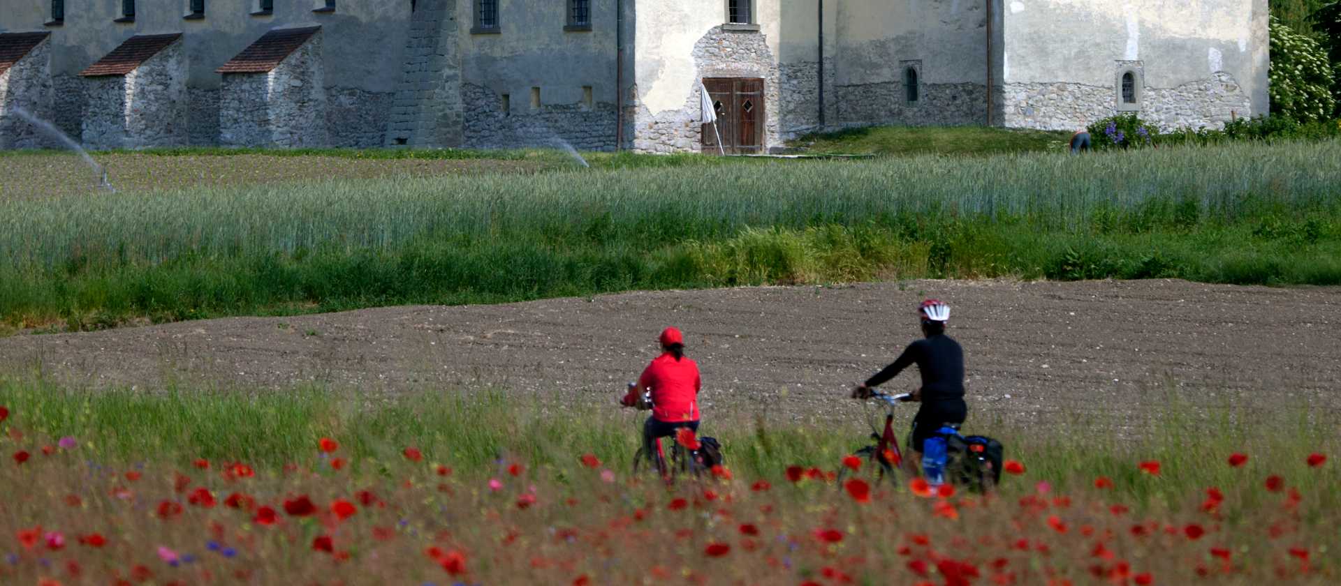 Cycling in Reichenau, Lake Constance