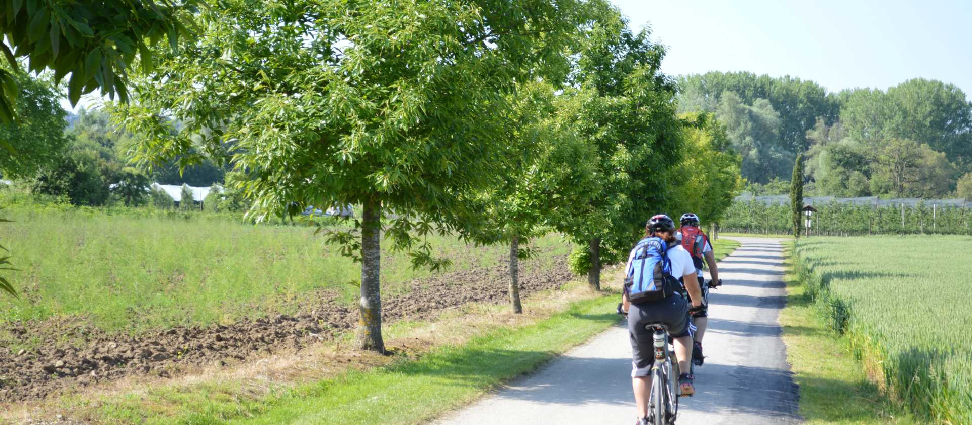 Cycling near Lake Constance | Erin Williams