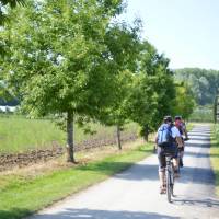 Cycling near Lake Constance | Erin Williams