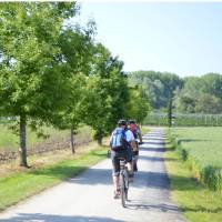 Cycling near Lake Constance | Erin Williams