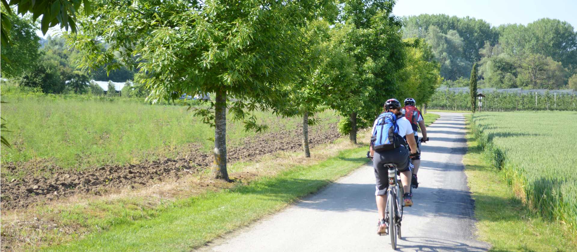 Cycling near Lake Constance | Erin Williams