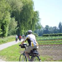 Cycling near Lake Constance | Erin Williams