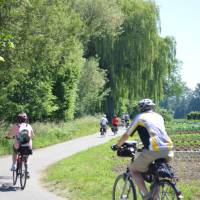 Cycling near Lake Constance | Erin Williams