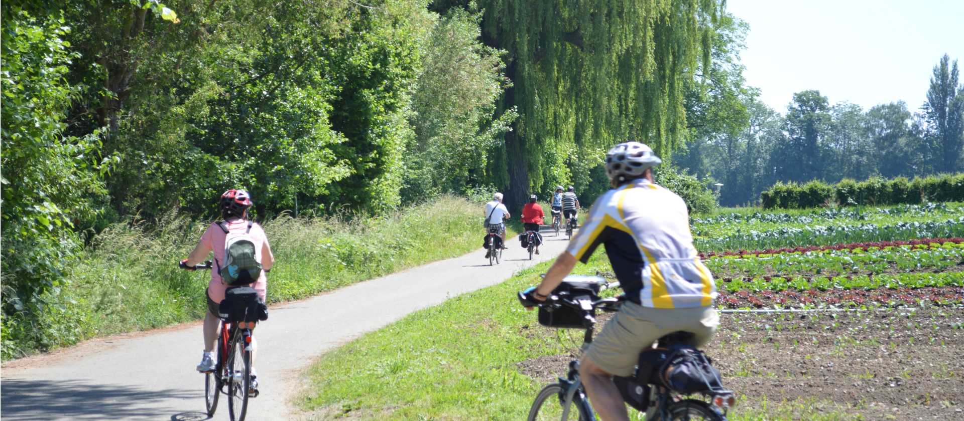 Cycling near Lake Constance | Erin Williams