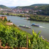 Discover Ehrenfels Castle near Rüdesheim on our Rhine Valley Bike & Barge in Germany