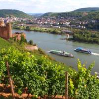 Discover Ehrenfels Castle near Rüdesheim on our Rhine Valley Bike & Barge in Germany