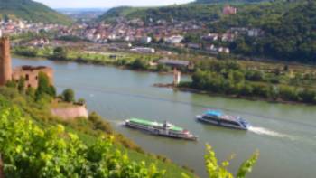 Discover Ehrenfels Castle near Rüdesheim on our Rhine Valley Bike & Barge in Germany