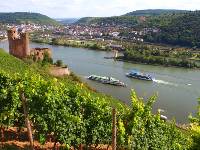 Discover Ehrenfels Castle near Rüdesheim on our Rhine Valley Bike & Barge in Germany