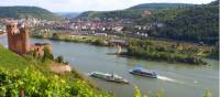 Discover Ehrenfels Castle near Rüdesheim on our Rhine Valley Bike & Barge in Germany