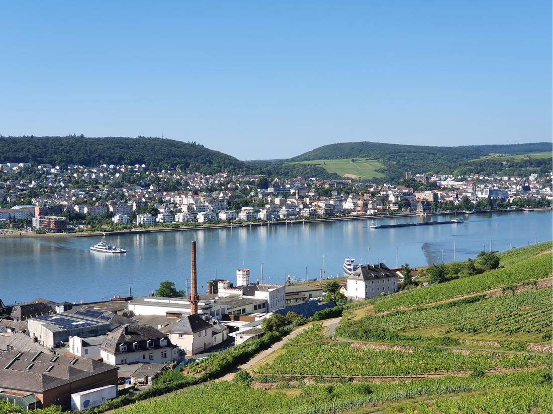 Exploring the Rhine Trail