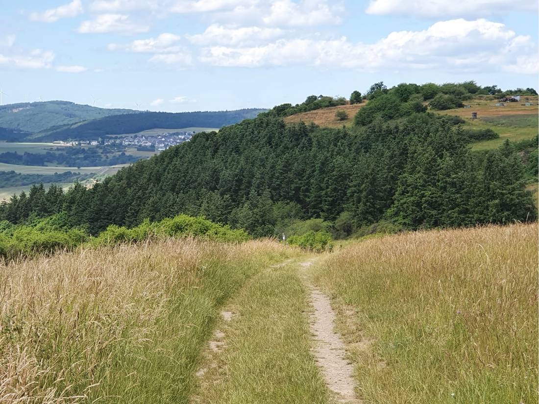 Exploring the Rhine Trail