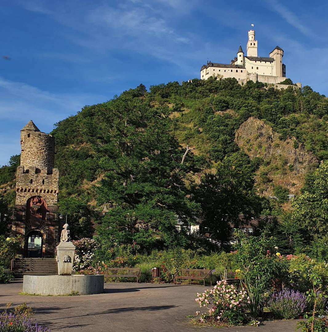 Exploring the Rhine Trail