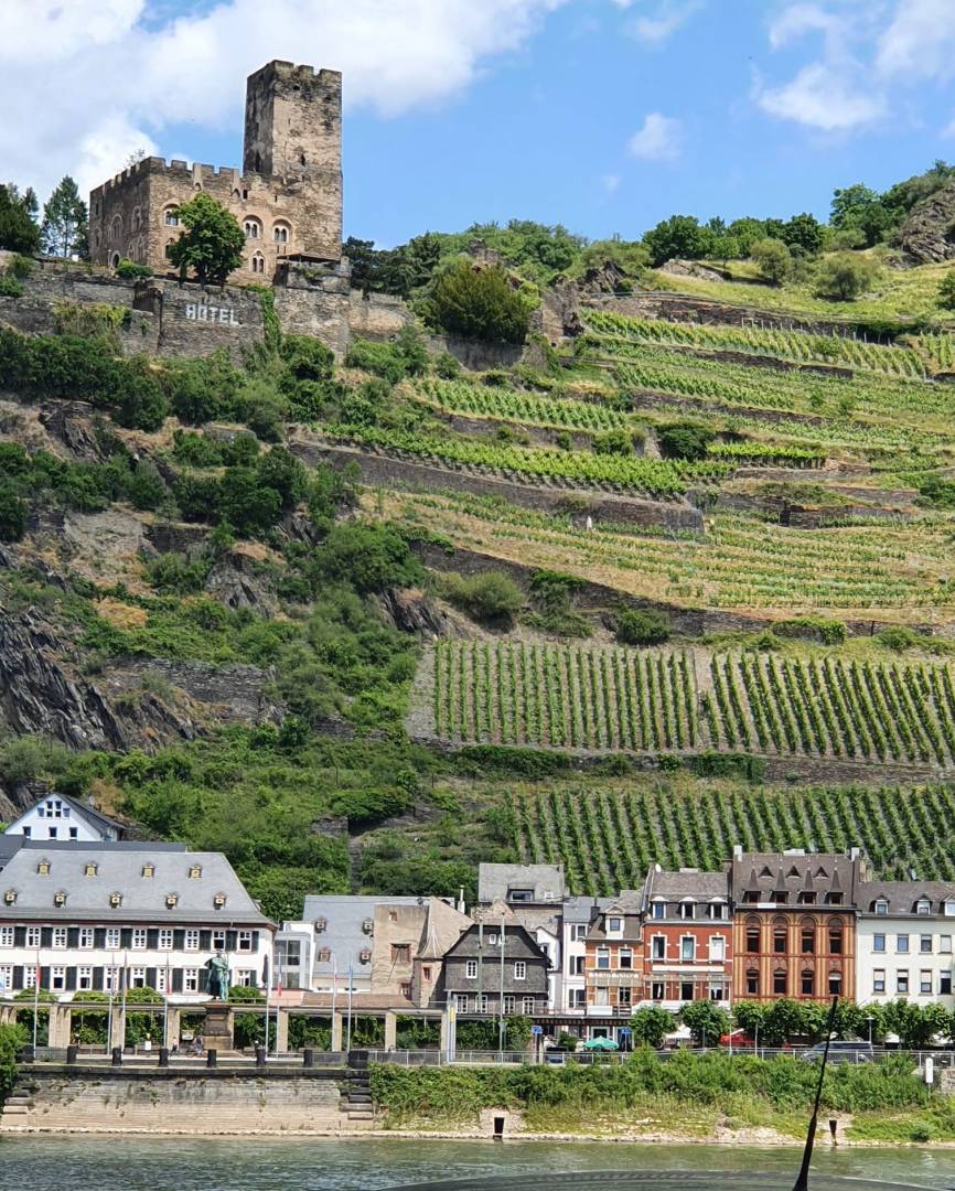 Exploring the Rhine Trail