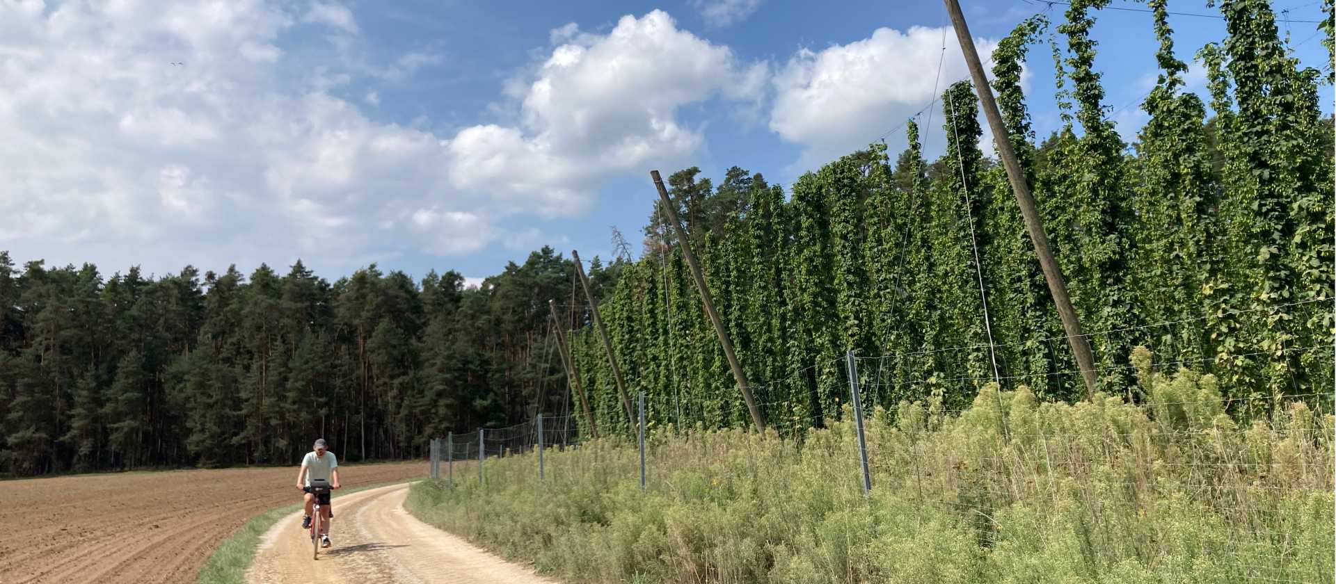 Cycle along hop plantations in Bavaria, Germany | Els van Veelen