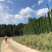 Cycle along hop plantations in Bavaria, Germany | Els van Veelen