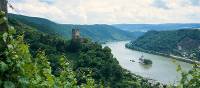 Castles line the Rhine River