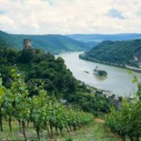 Castles line the Rhine River