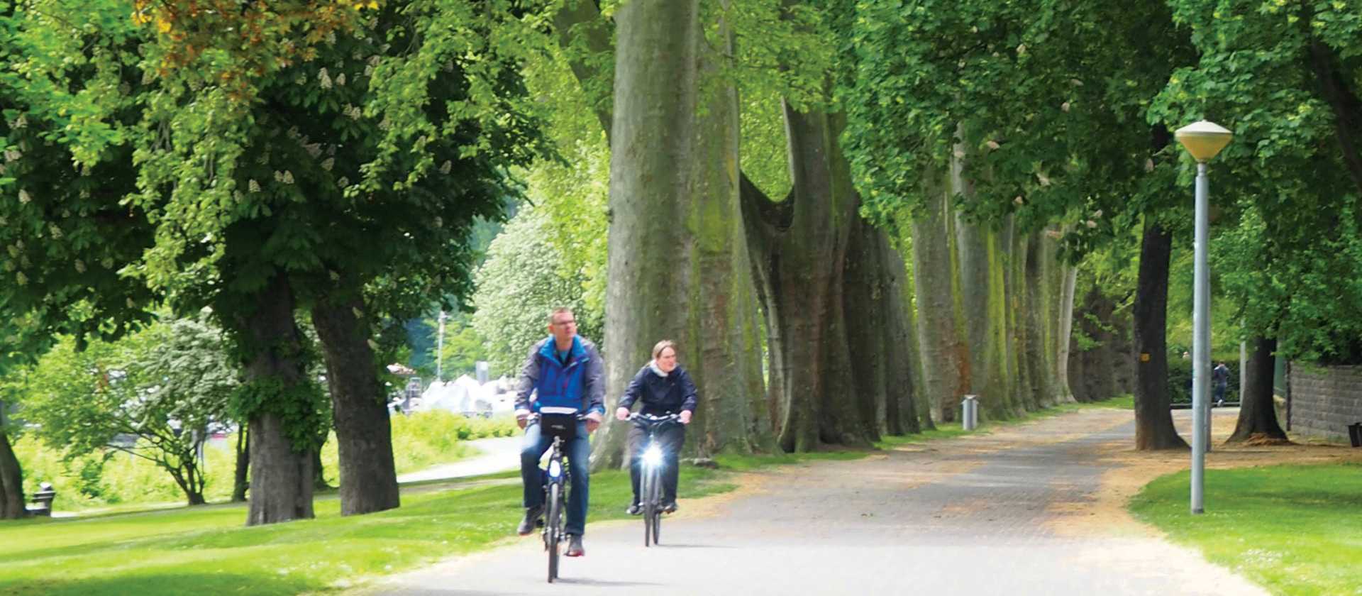 Cycling through the verdant Koblenz | Sue Finn