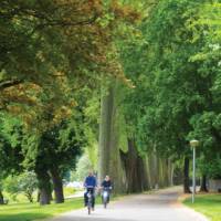 Cycling through the verdant Koblenz | Sue Finn