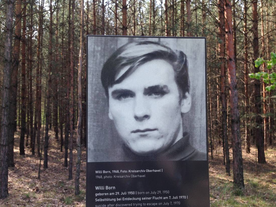 Poster boards along the Berlin Wall Cycle Way |  <i>Lizzie Enfield</i>