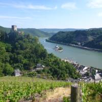 The Rhine is dotted with impressive castles