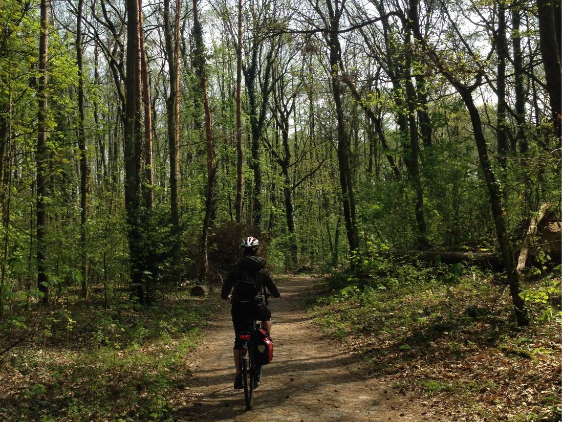 The Berlin Wall Trail cycle is surprisingly green |  <i>Lizzie Enfield</i>