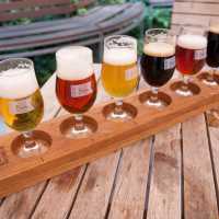 Sampling Czech craft beer flights at a historic Old Town beer garden