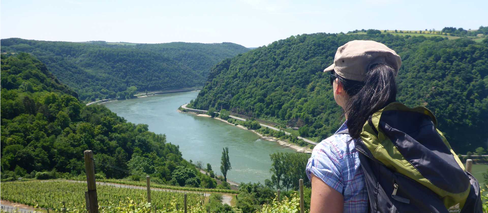 View from the trail on the Rhine