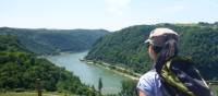 View from the trail on the Rhine