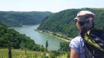View from the trail on the Rhine,Eurohike View from the trail on the Rhine