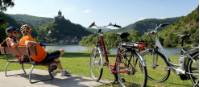 Relaxing on the Moselle Bike Path |  <i>Ferienland Cochem Tourism</i>