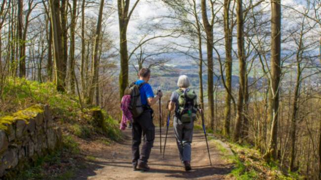 Hiking the tranquil Rhine Trail in Germany
