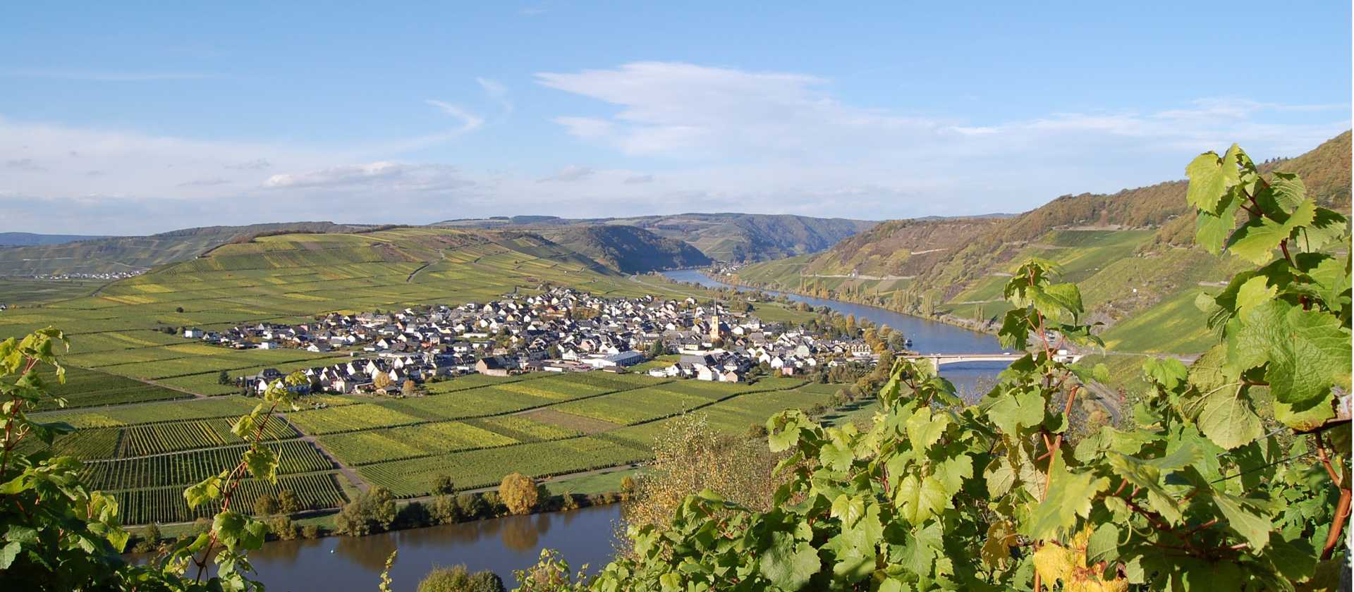 The village of Trittenheim, on the middle Moselle | Christiane Heinen