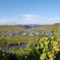 The village of Trittenheim, on the middle Moselle | Christiane Heinen