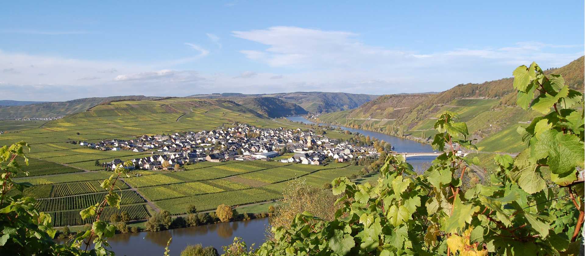 The village of Trittenheim, on the middle Moselle | Christiane Heinen