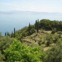 Green scenery on the Corfu Trail