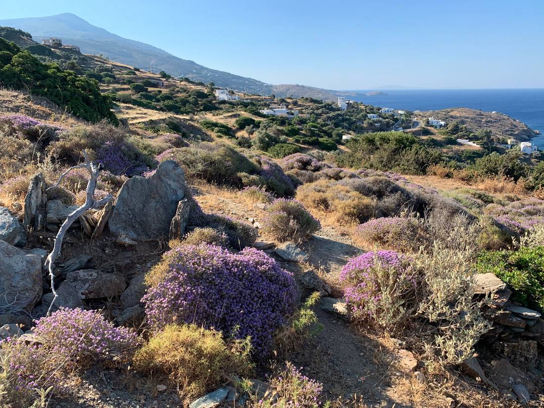 Walk from Batsi to the beach at Agios Petros |  <i>Sarah Baxter</i>