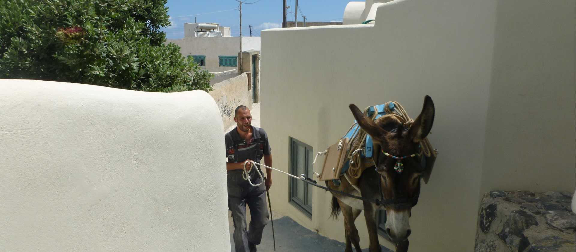 A local man navigates the narrow alleys on Pyrgos, Santorini, with his mule | Hetty Schuppert
