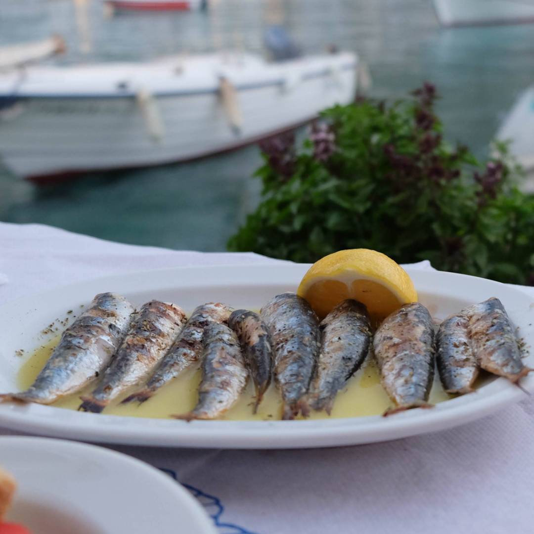 Dine on fresh local seafood by the sea in Crete | Jaclyn Lofts