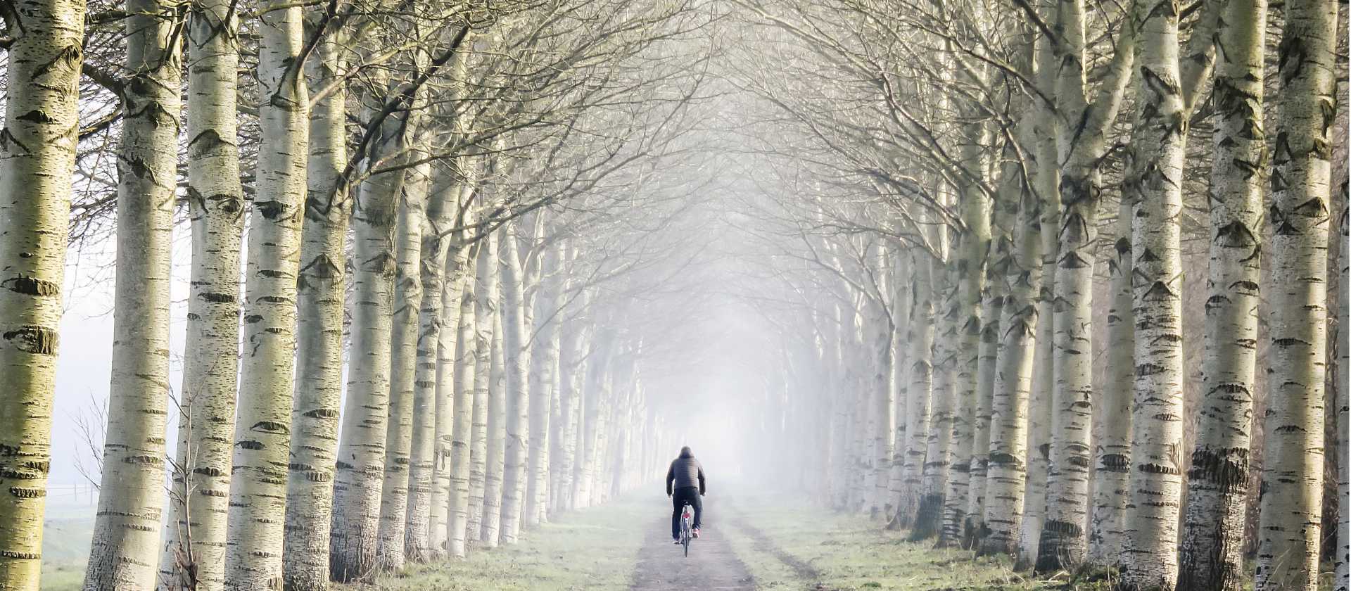 Cycling on a flat trail through a beautiful forest in the Netherlands | Claire Droppert