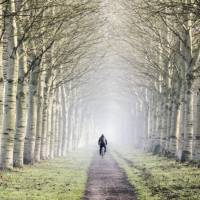 Cycling on a flat trail through a beautiful forest in the Netherlands | Claire Droppert