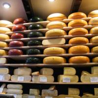 Wheel it to the cheese wheels in Gouda | Jan Shaddick